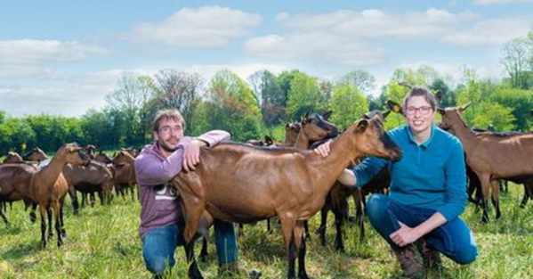 Les chèvres et la bière de la Ferme de la Martinière