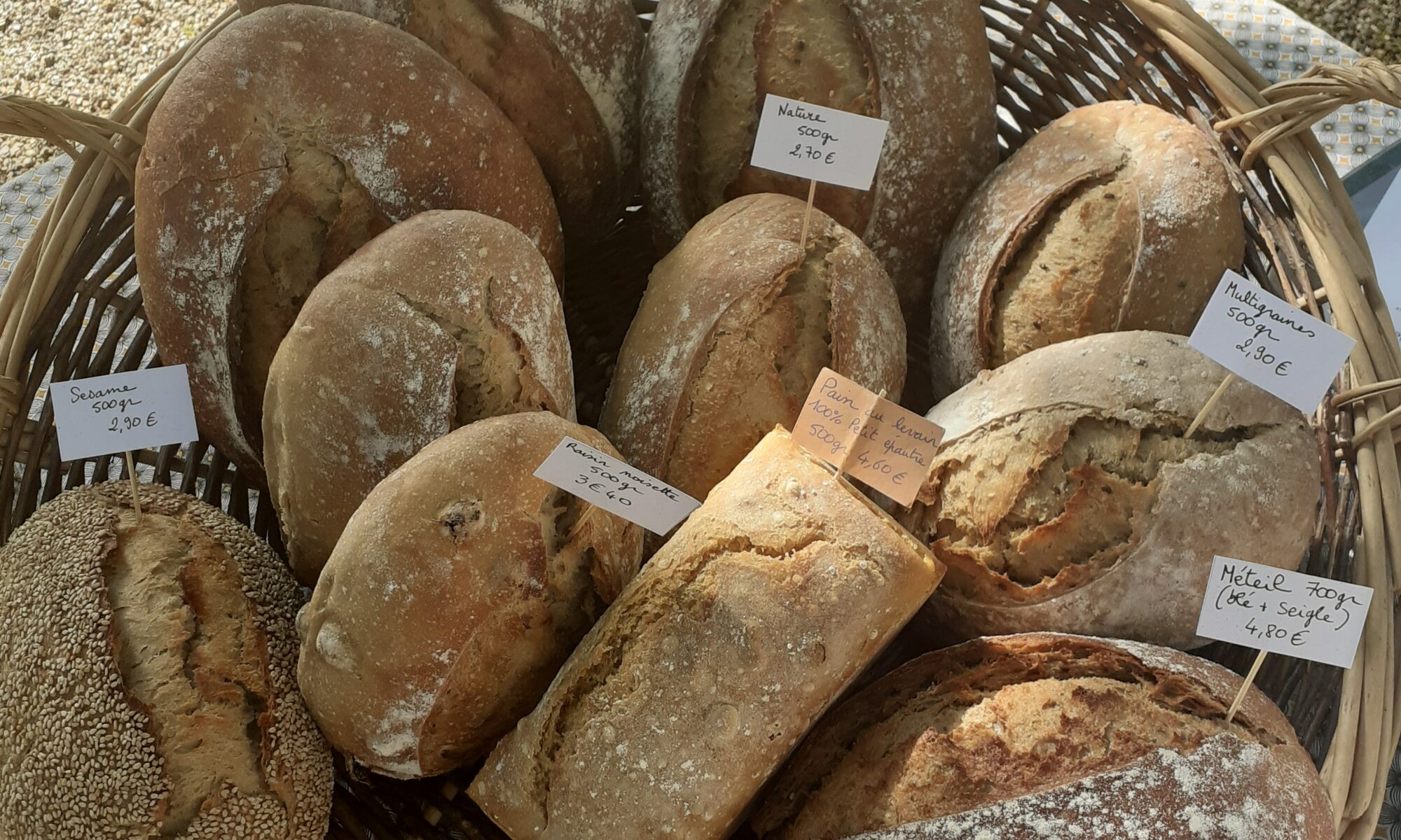 Panier de pains